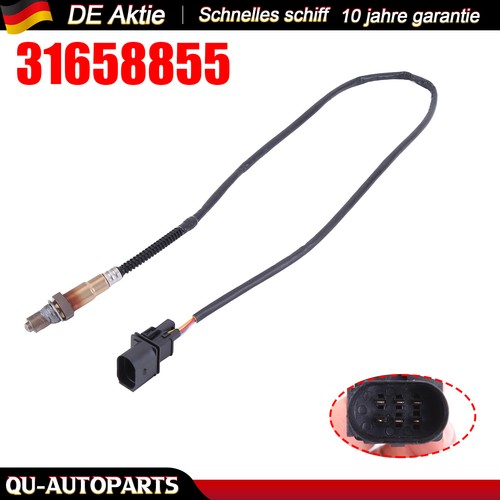 Für lupo polo - lupo, 1.0
